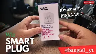BUAT COLOKAN APAPUN JADI PINTAR!! Philips WIZ Smart Plug Socket