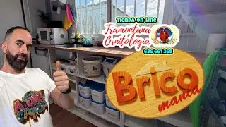 Cambio TOTAL en el Aviario !!