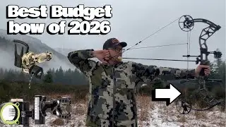 The best beginner bow of 2026 (Bear Paradigm) Honest Review!