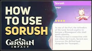 How to use Sorush Genshin Impact