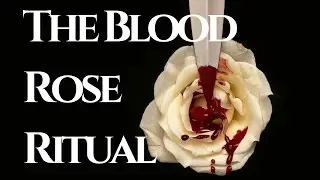The Blood Rose Ritual | Written by Mr. Paleface | Creepy Reading