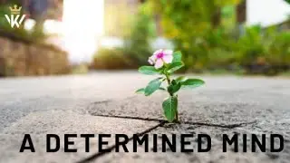 A Determined Mind! - Rev. Raye McHugh Jr.