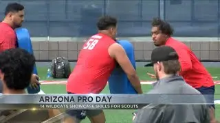 Wildcats showcase skills for NFL scouts at Arizona Pro Day