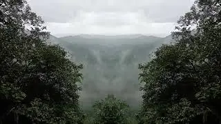 Devimane Ghat - Beautiful Curvy Ghat- On The Way From Kumta to Sirsi