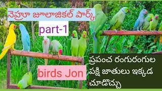 నెహ్రూ జూలాజికల్ పార్క్ part -1 హైద్రాబాద్ - బర్డ్ జోన్ 