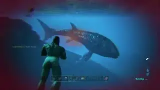 Ark Shorts: Alpha Whale fight tag team