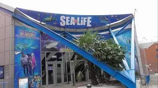 Sealife Birmingham, July 2019