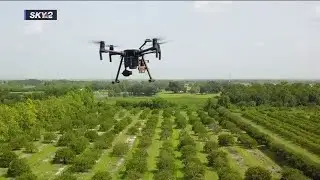 How drones can help citrus growers in SWFL