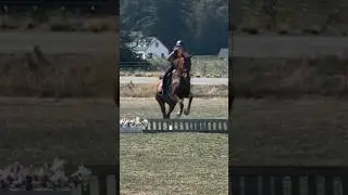He was a spunky monkey tdy #fypageシ #equestrian #iknowwhatyoudid #edit #viralvideo #trending