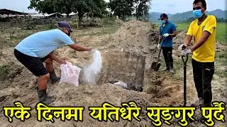 एकै चोटि यति धेरै सुङ्गुर खाल्डोमा,एकै दिनमा लाखौ घाटा, देखियो मनै रुवाउने दृश्य out door piggery