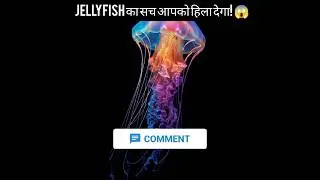 &ldquo;Jellyfish का सच आपको हिला देगा! 😱 | Immortal Jellyfish Facts | Ocean Mystery Explained in Hindi&rdquo;