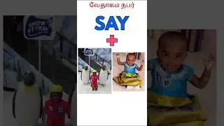 இனித் தீங்கைக் காணாதிருப்பாய் என்றுரைத்த தீர்க்கதரிசி இவர்🤔| bible fun game | #shorts #shortsfeed