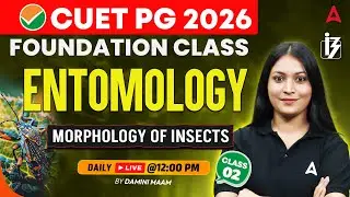 CUET PG 2026 Entomology Foundation | Morphology of Insects | CUET PG Agriculture | By Damini Ma&rsquo;am
