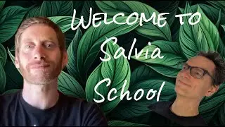 Talk with pro Salvia guide Christopher Solomon. 1.5 hours of advanced Salvia theory