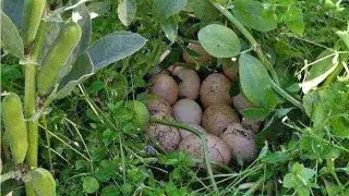 تحياتي الشعراء ديل أيت حسان جامعة أولاد علي يوسف 👍🥰🥰🥰⁦❤️⁩⁦❤️⁩⁦❤️⁩⁦🇲🇦⁩⁦🇲🇦⁩⁦🇲🇦⁩