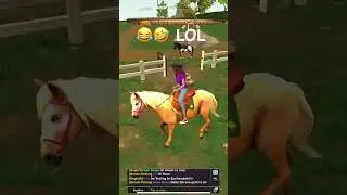 I have 2 horses at the same time 😂🤣 (Star Equestrian glitch/bug)