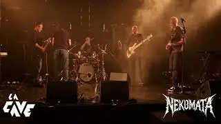 Au bout du bar (Composition NEKOMATA)