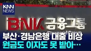 삼정기업 유탄 지역은행 깡통대출 급증 / KNN