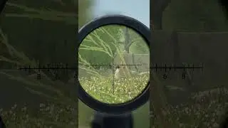 When your Squad Leader takes a wrong turn | Squad