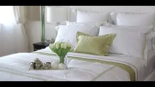 Top 3 Best Bed Pollows Reviews