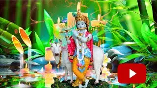 Krishna Flute 💚Deep Relaxing Music , Sleep💚 Music , Meditation Music, Study, Calming Music 26/2/24