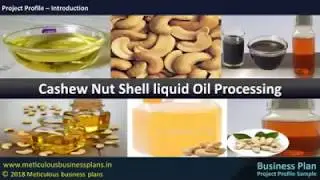 Cashew Nut Shell Liquid Oil Processing Unit