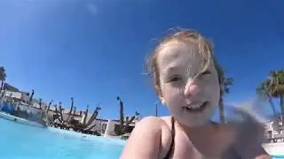 moo's surface dive