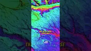 Carolina Bays: Uncovering the Mystery of Earth&rsquo;s Unique Elliptical Lakes