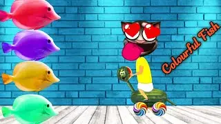 Talking Tom Funny Colourful Fish 🐠 Eating.. @sd billu