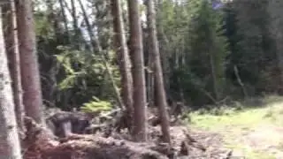 Bigfoot Encounter Oct 2009