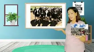 Effects of Production and Consumption Patterns on Climate Change