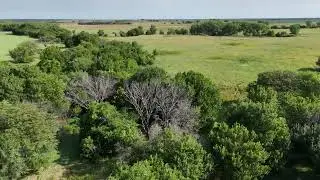 East Hobbs Creek Road Hunting HavenSaline County, KS 230 +/- Acres Land For Sale