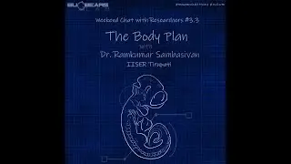 The Body Plan [Weekend Chat with Researchers Session #3.3]
