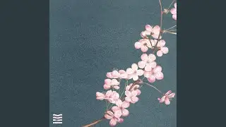 Cherry Blossom