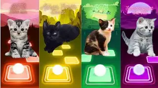 All Cute Cats  Aaron Smith (Dancin)  - BTS (Fake love) - Something just like this Tiles Hop