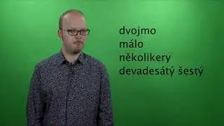 15 Morfologie: Zájmena, číslovky
