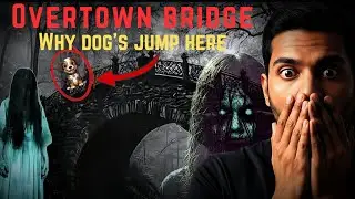 Overtown Bridge Mystery: Why Do Dogs Jump Here? Full Scary Story Explained in Hindi.