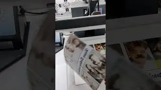 personalized Cushion cover printing machine | photo wala cushion #sublimation #trending #cushion
