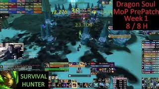 Dragon Soul 25 8/8 H - Survival Hunter PoV - Week 1 MoP PrePatch - 7-1-25