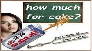 Mandarin to English, Fun with Dialect, Diction, Enunciation, and Coke. What did she say?