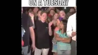 Tuesday vine