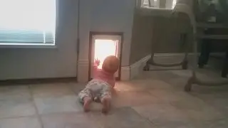 Doggy Door For Babies