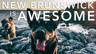 Can we talk about how awesome NEW BRUNSWICK is? | Split Rock Trail, New Brunswick, Canada