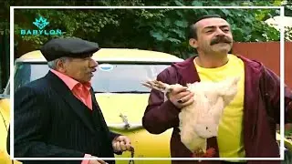 الشيخ ماهر يطلب المساعدة من سنان بخصوص البنت الي شافها بالبار  | تكسي الامان | فاصل ونواصل |