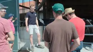 180 K&uuml;he x 12.000 kg &Ouml;sterreich: Umbau Milchviehstall | Futteranschieber Wasserbauer + Separator