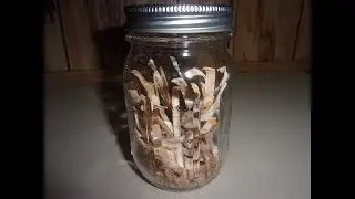 OVEN CANNING PASTA WITH BLG
