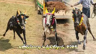 கண்டுப்பட்டி மஞ்சுவிரட்டு 2026