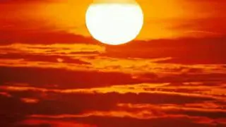 DEPROGRAMMING ❤ Tigerforest ❤ Under The Velvet Sun ❤