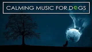 1 Hour of Calming Sleep Music For Dogs! Relaxing music To Help Your Dog Sleep!