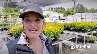 SiteOne Field Guide: Benefits of Fungi